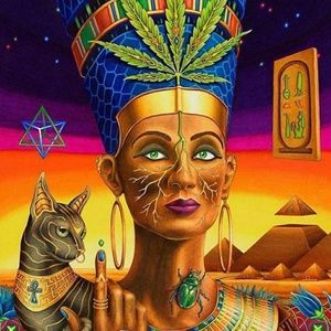 Meet your Posher, Shelby